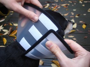 Flamingo f-503006 - Adjustable Dog Recovery Cone with Velcro Fastening