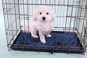 Flamingo f-523537 - Blue Memory Foam Dog Cushion for Cages