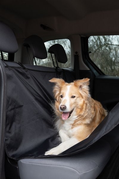 Protège-siège de voiture Siège arrière