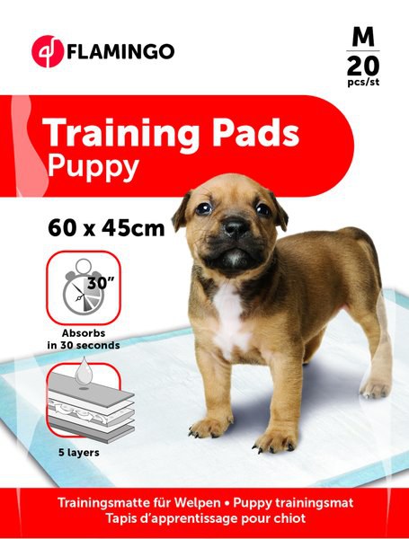 Tapis d'entraînement