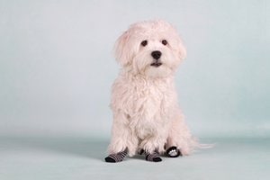 Flamingo f-15226 - Chausette