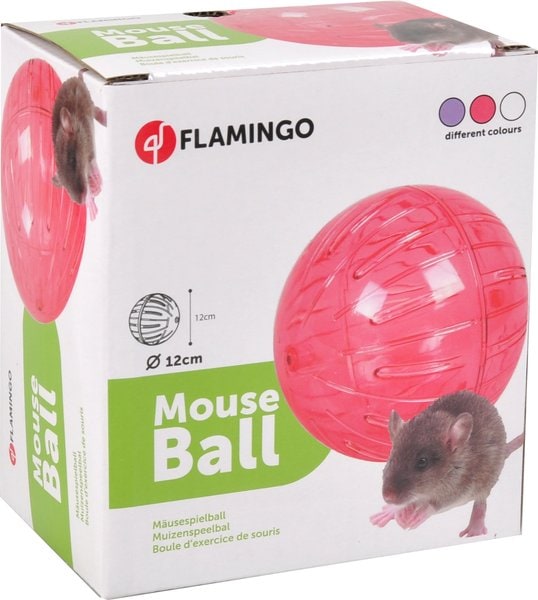 Boule d'exercice pour souris Balle