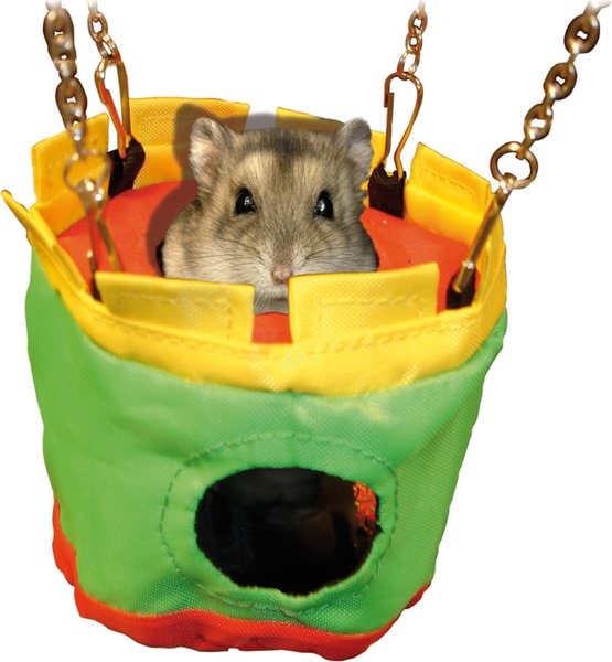Maison hamster