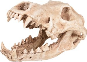 Flamingo f-410220 - Décoration Écru Crâne