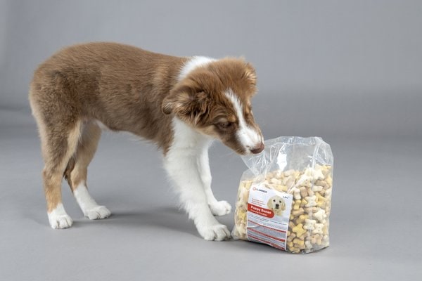 Friandises Biscuit Bones