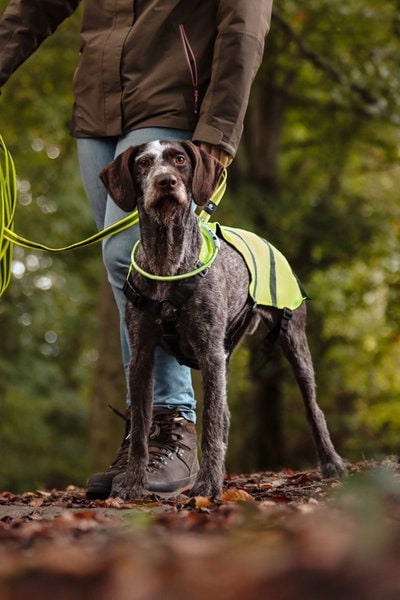 Gillet de sécurité fluo