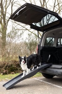 Flamingo f-516756 - Rampe pour chiens