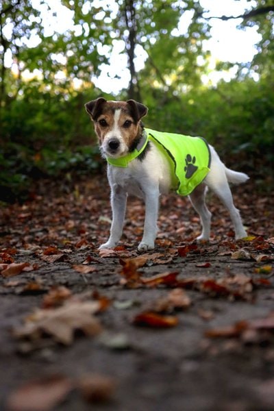 Gillet de sécurité fluo