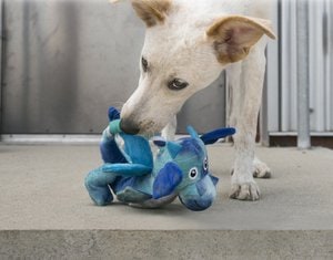 Kong® f-518549 - Kong® Jouet Dragon