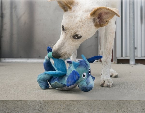 Kong® f-518549 - Kong® Jouet Dragon