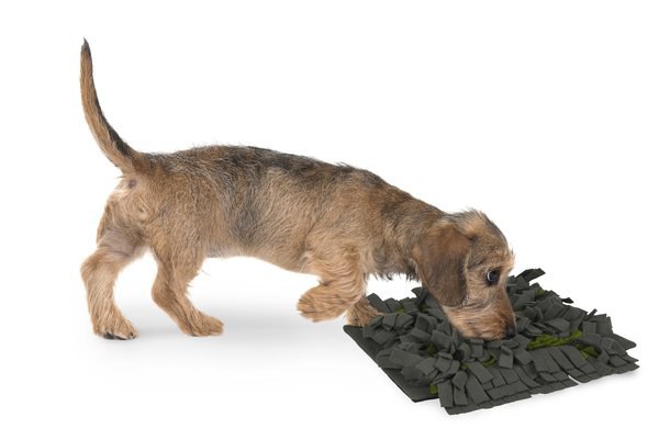 Tapis à reniflerfoncé