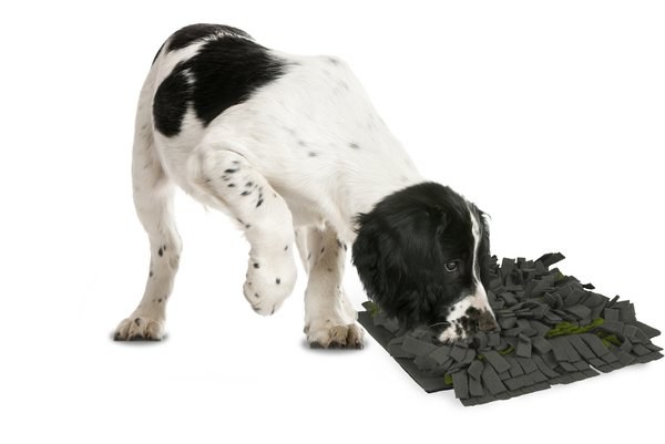 Tapis à reniflerfoncé