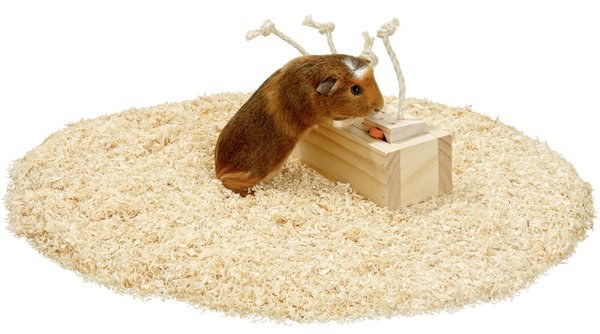 Jouet Brain train Armoire avec corde Brun clair