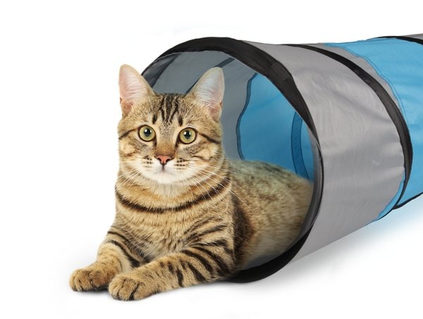 Jouet Tunnel Gris & Bleu