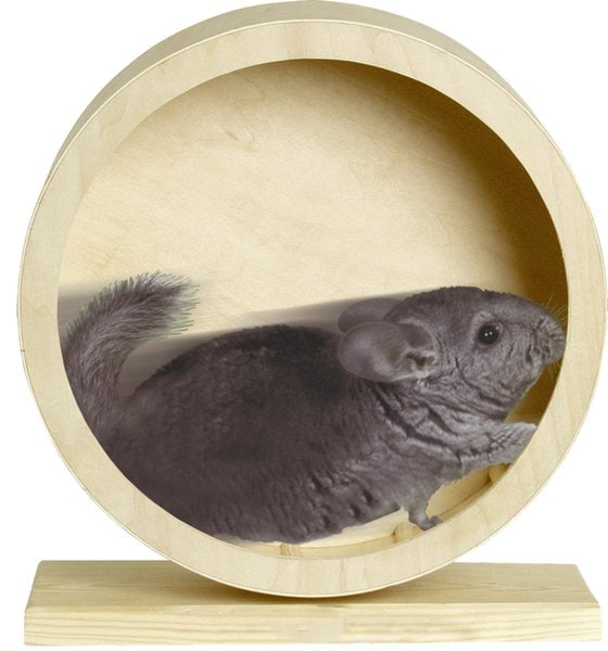 Jouet Roue d'exercice Brun clair