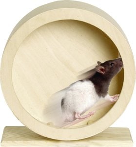 Flamingo f-84198 - Jouet Roue d'exercice Brun clair