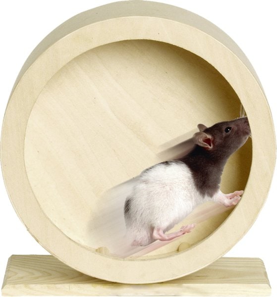 Flamingo f-84198 - Jouet Roue d'exercice Brun clair