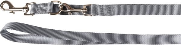 Laisse d'entraînement