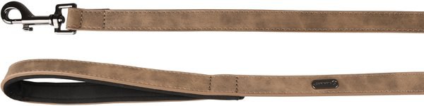 Laisse Avec neoprène