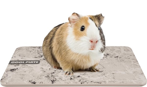 Pierre rafraîchissant Rectangle Mélange