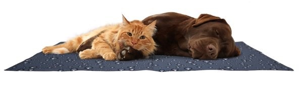 Flamingo f-520501 - Tapis rafraîchissant Rectangle