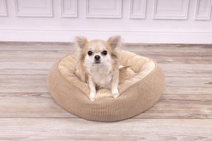 Flamingo f-561317 - Panier Rond