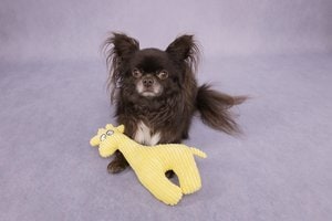 Flamingo f-521911 - Jouet Girafe