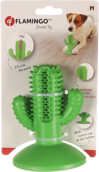 Jouet Cactus
